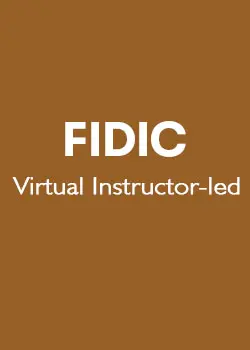 FIDIC VILT